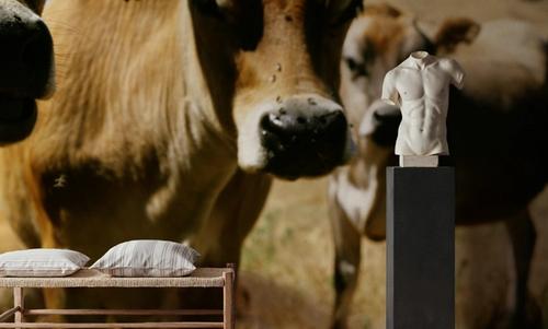 Pastoral Serenity