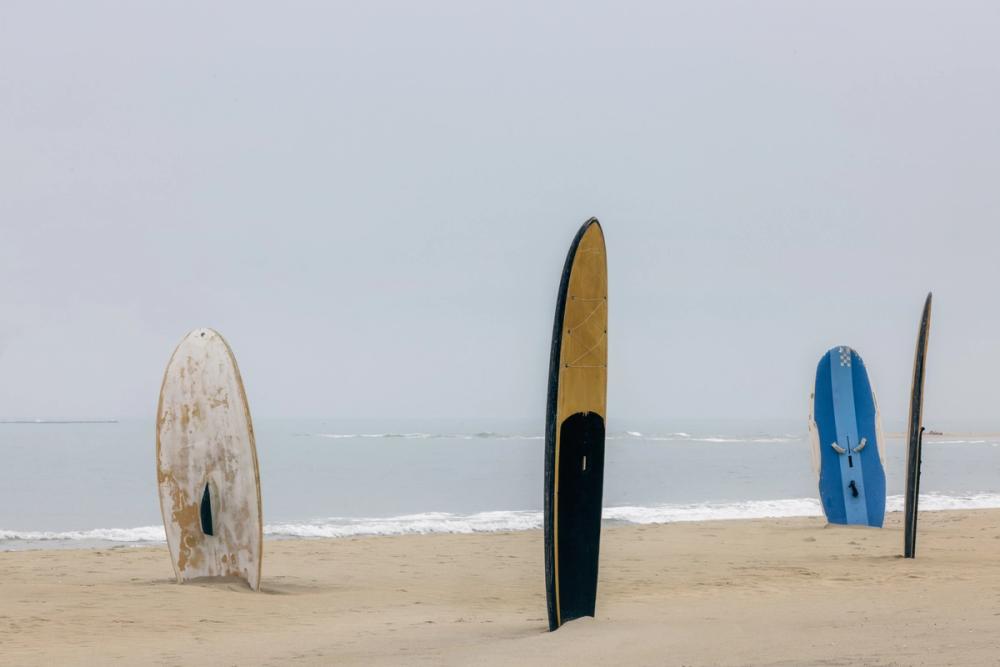 Long Boards III