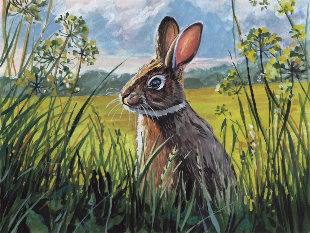 Springtime Field Study