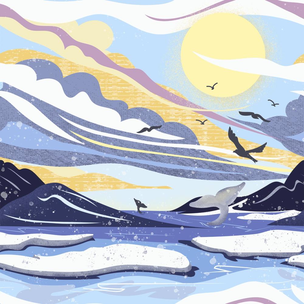 Coastal Apricity, Pewter