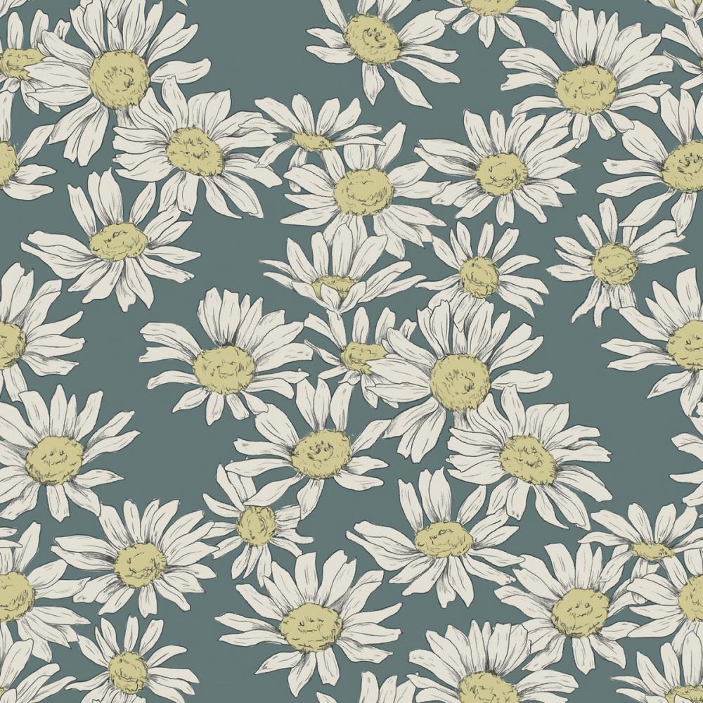 Dazzling Daisies Pidgeon