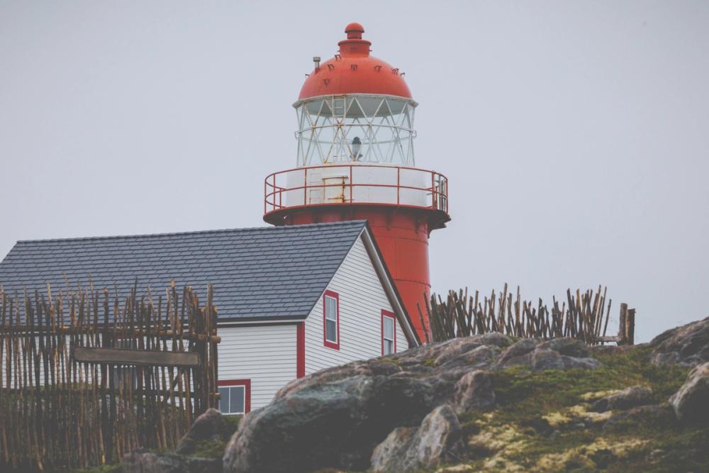 Newfoundland Foggy Morning