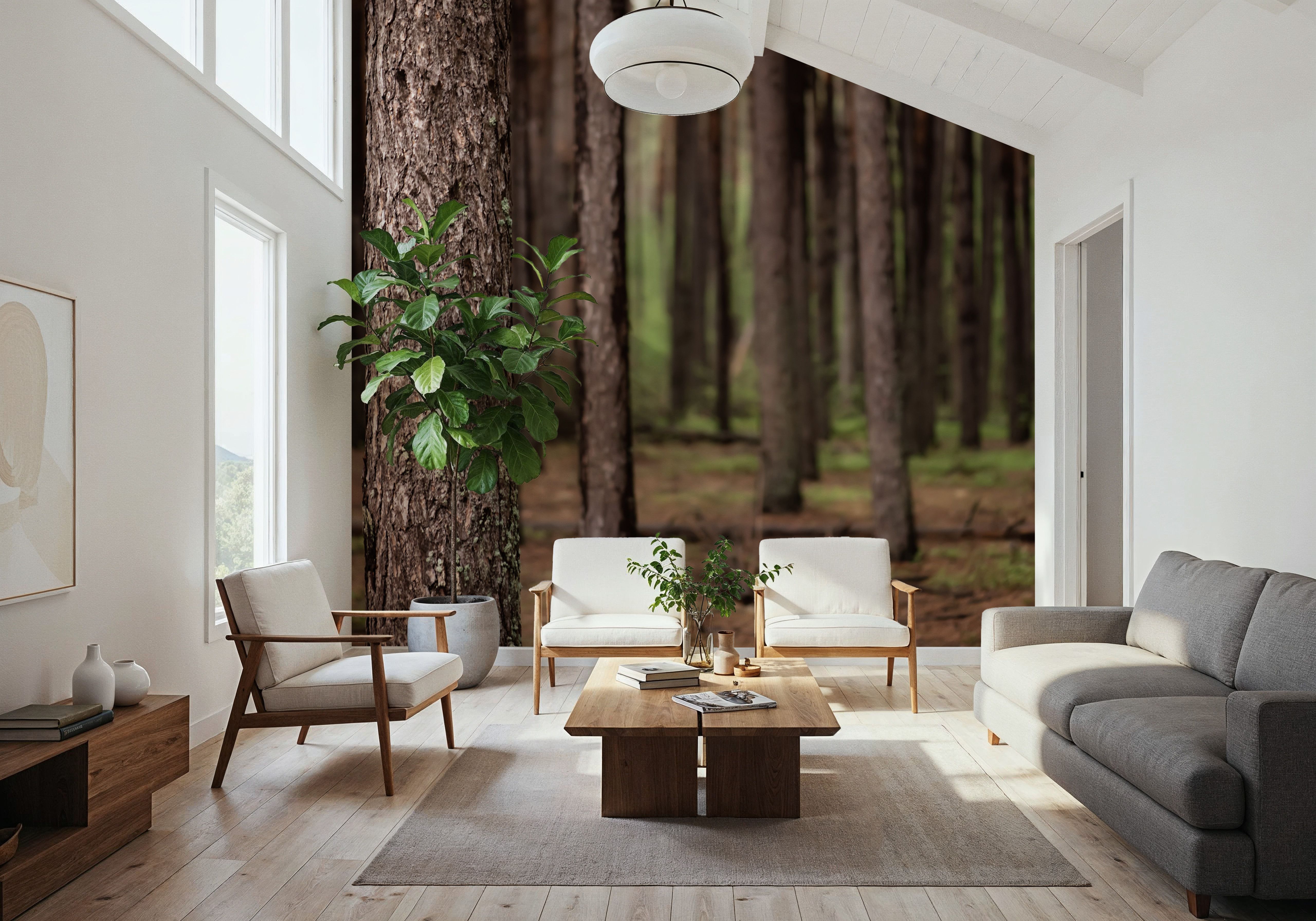 Dark Pine Forest