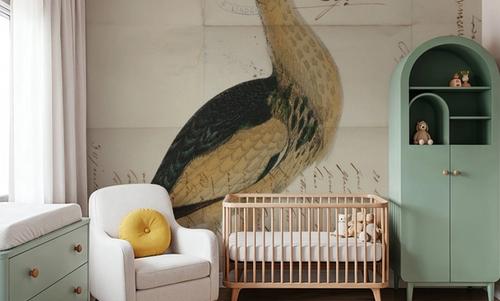 Little Bittern