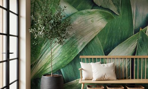 Verdant Layers