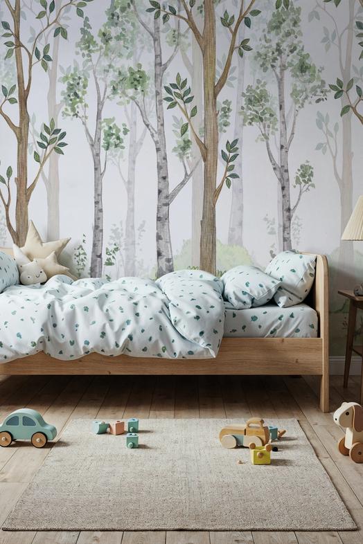 Forest Scenery