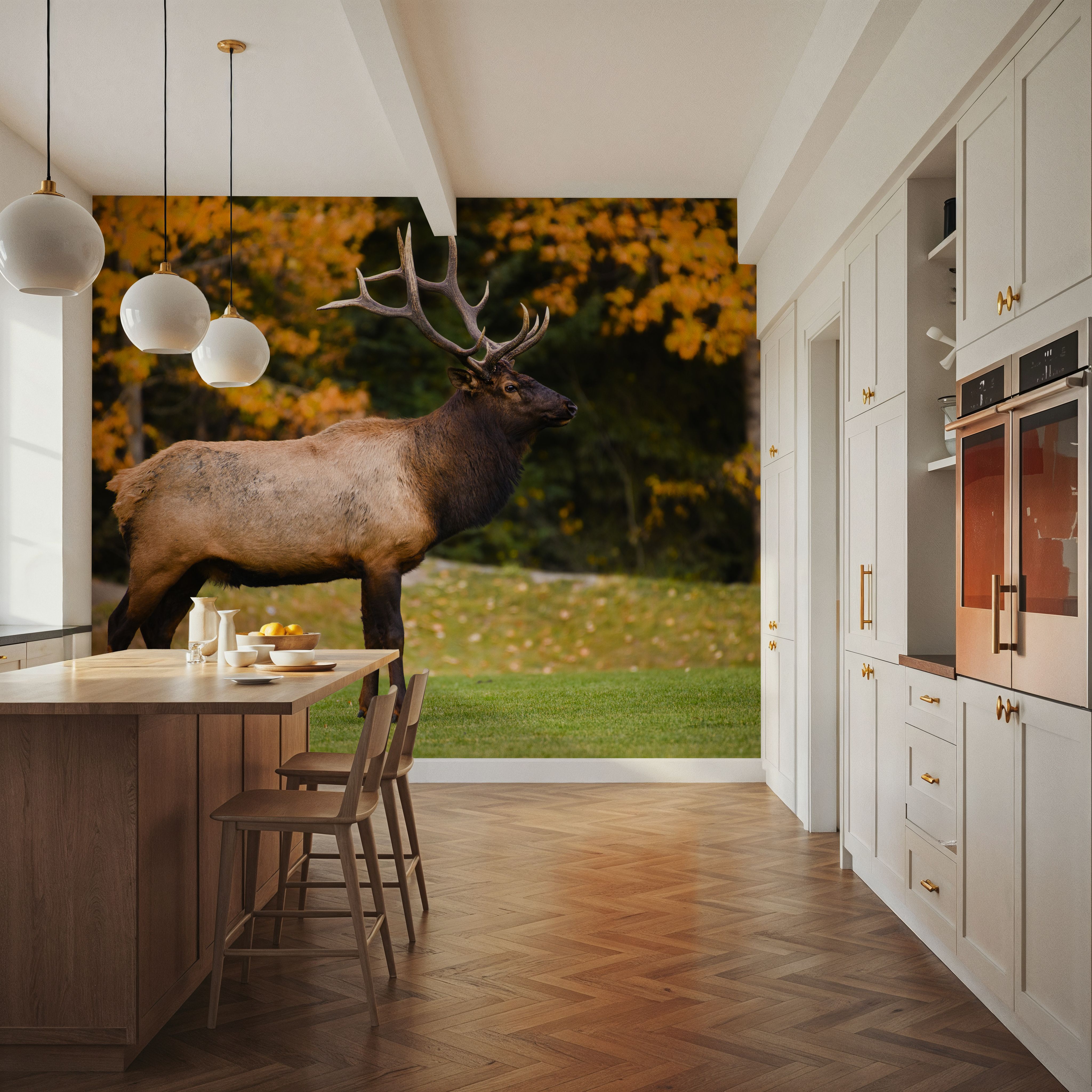 Bull Elk