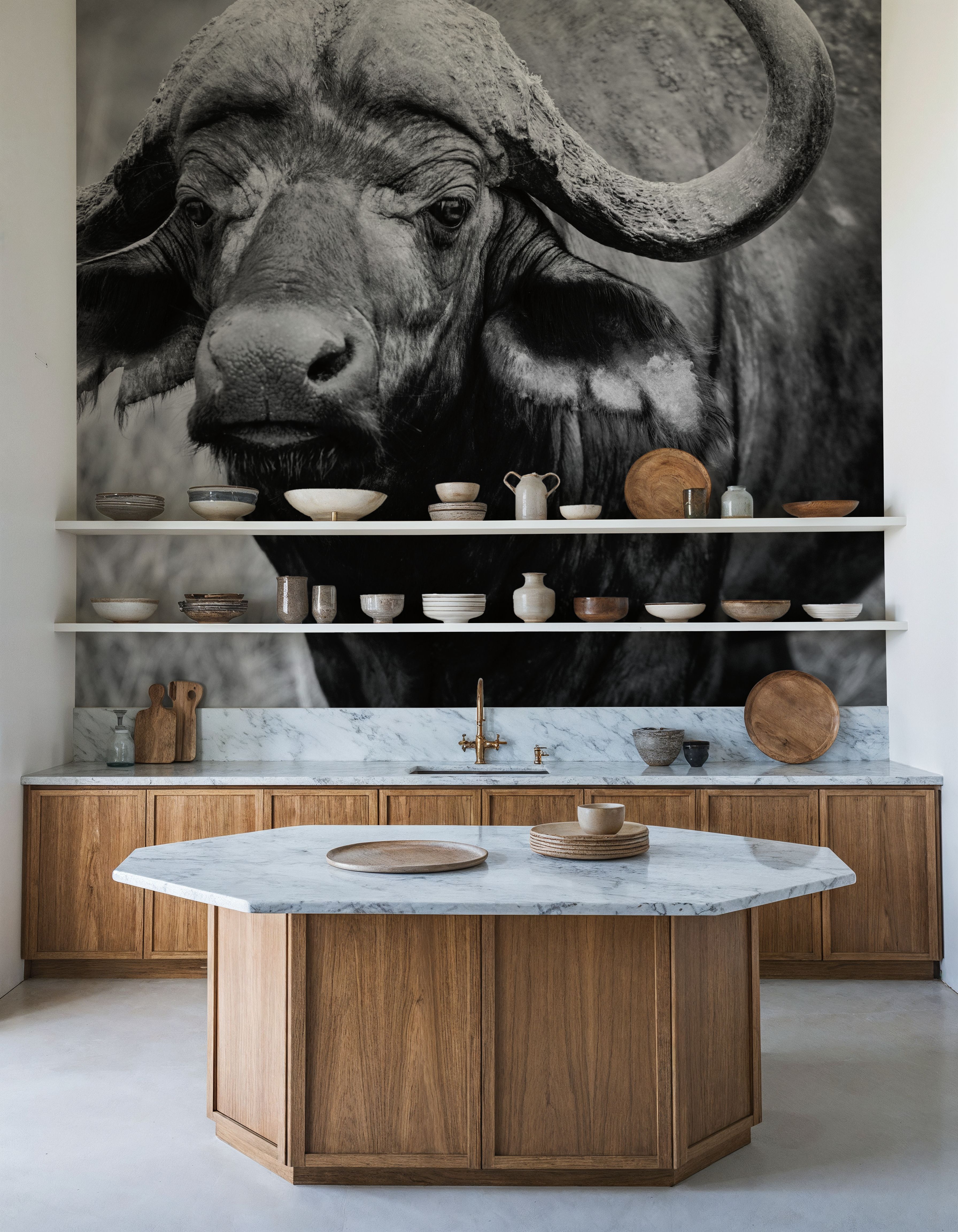 African Buffalo