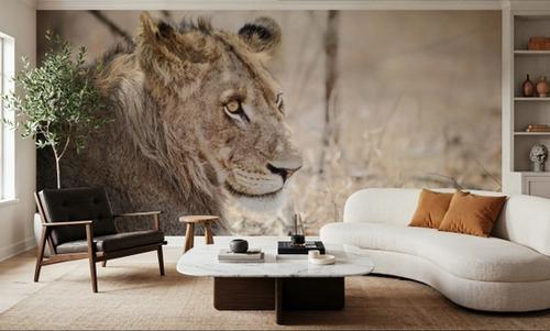 Young Lion