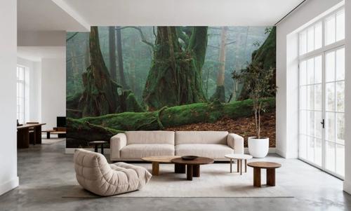 Yaku Rain Forest
