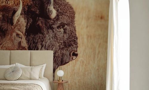 Bison Pair