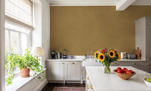 Tuscan Clay, Mustard