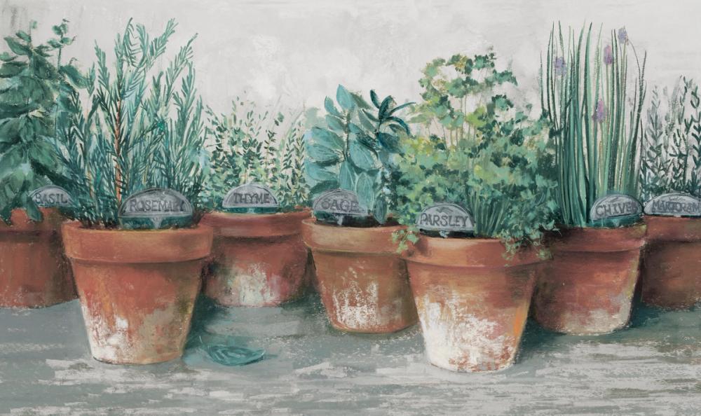 plants in pots