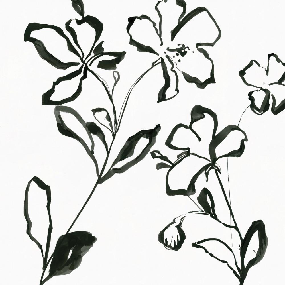 Floral Sketch I