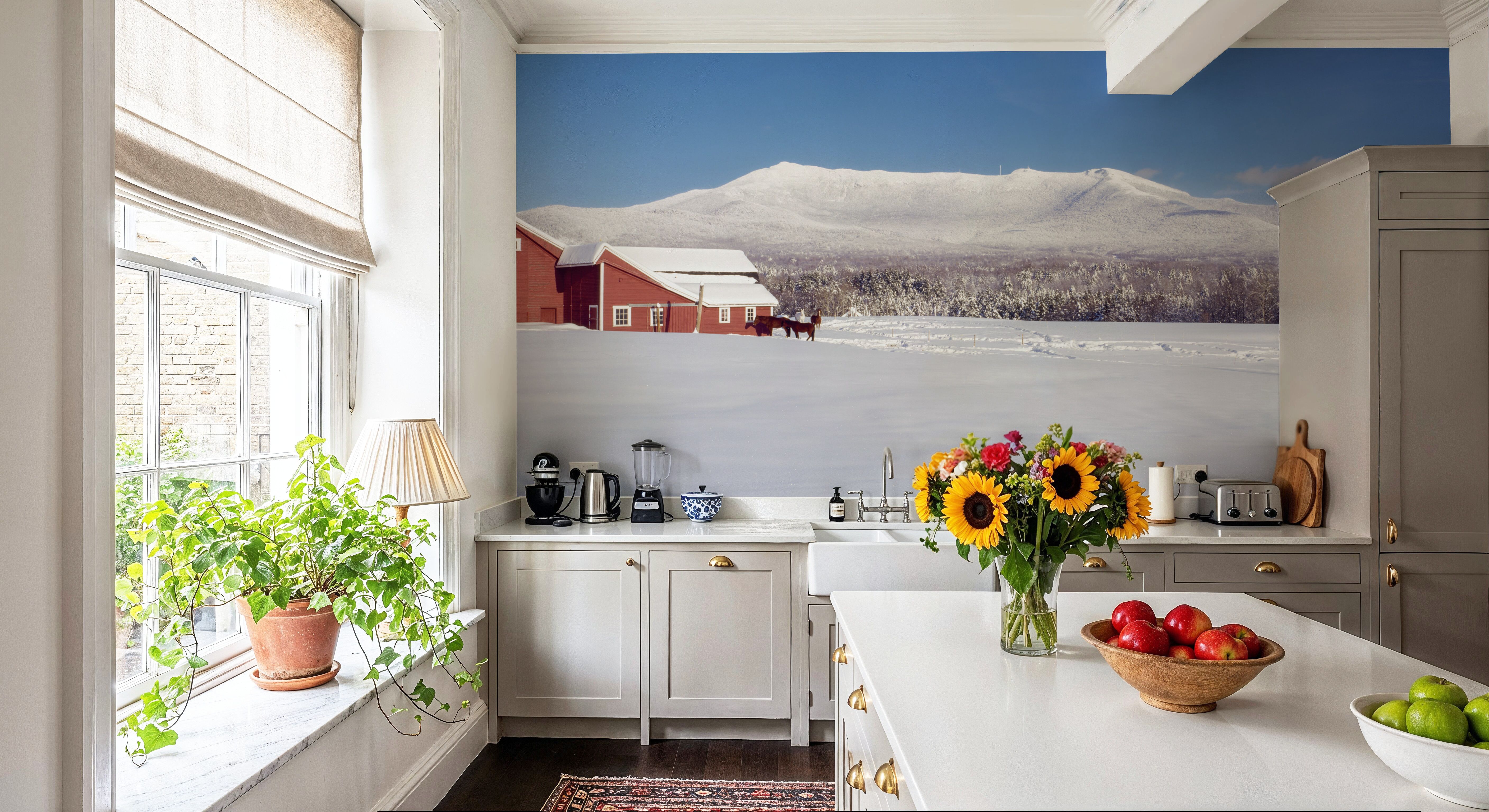 Snowy Mountain Ranch