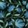 Indial Floral, Teal on Midnight