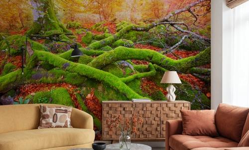 Pyrenees Moss II