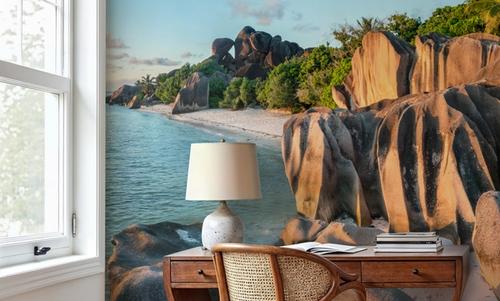 Anse Beach