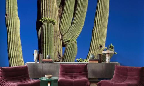 Moonlit Saguaro