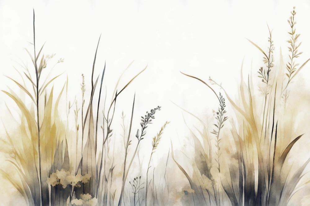 sand dunes with grass