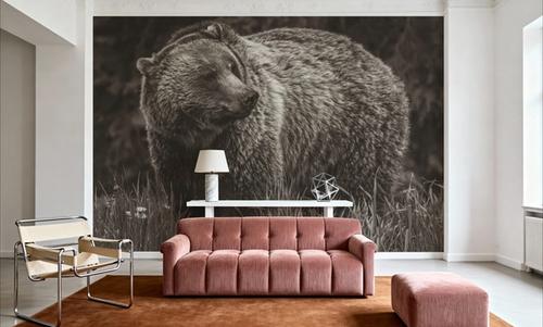 British Columbia Grizzly in a Field BW