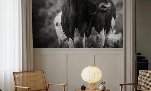 Longhorn Gaze I BW