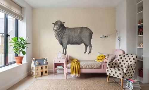 Baa