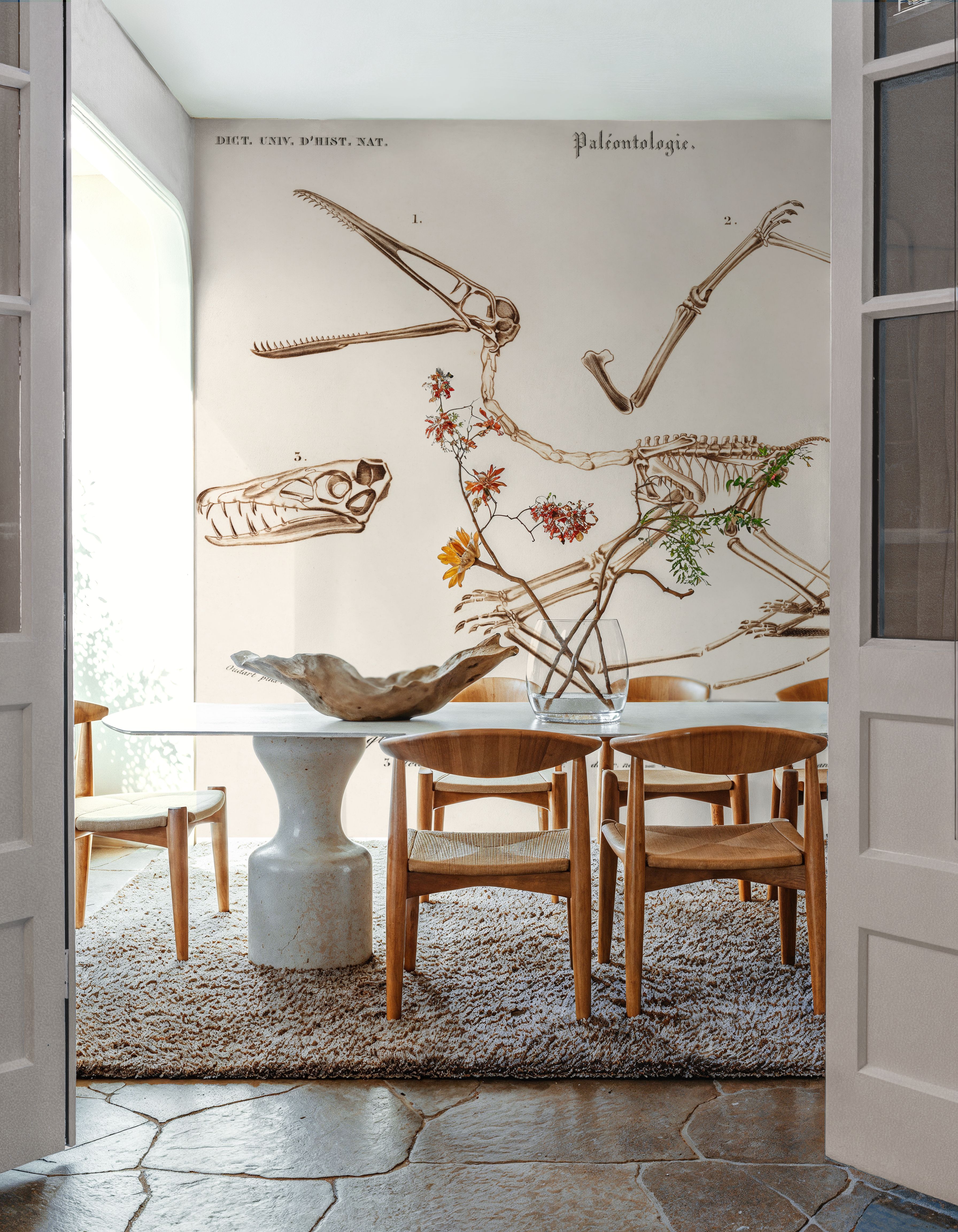 Pterosaur Illustrated