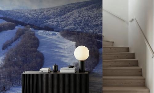 Alpine Descent