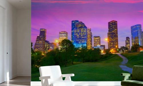 Houston Twilight