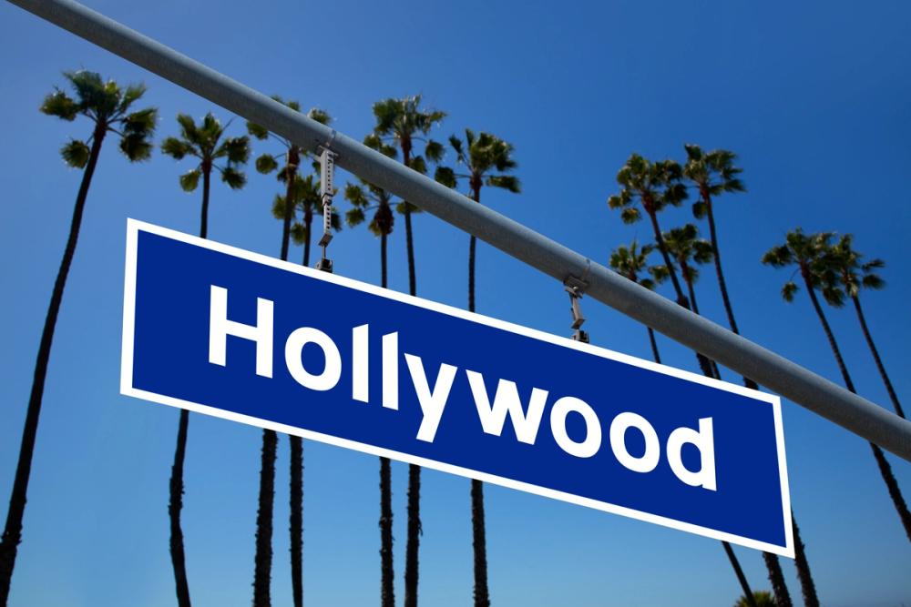 Hollywood Palms