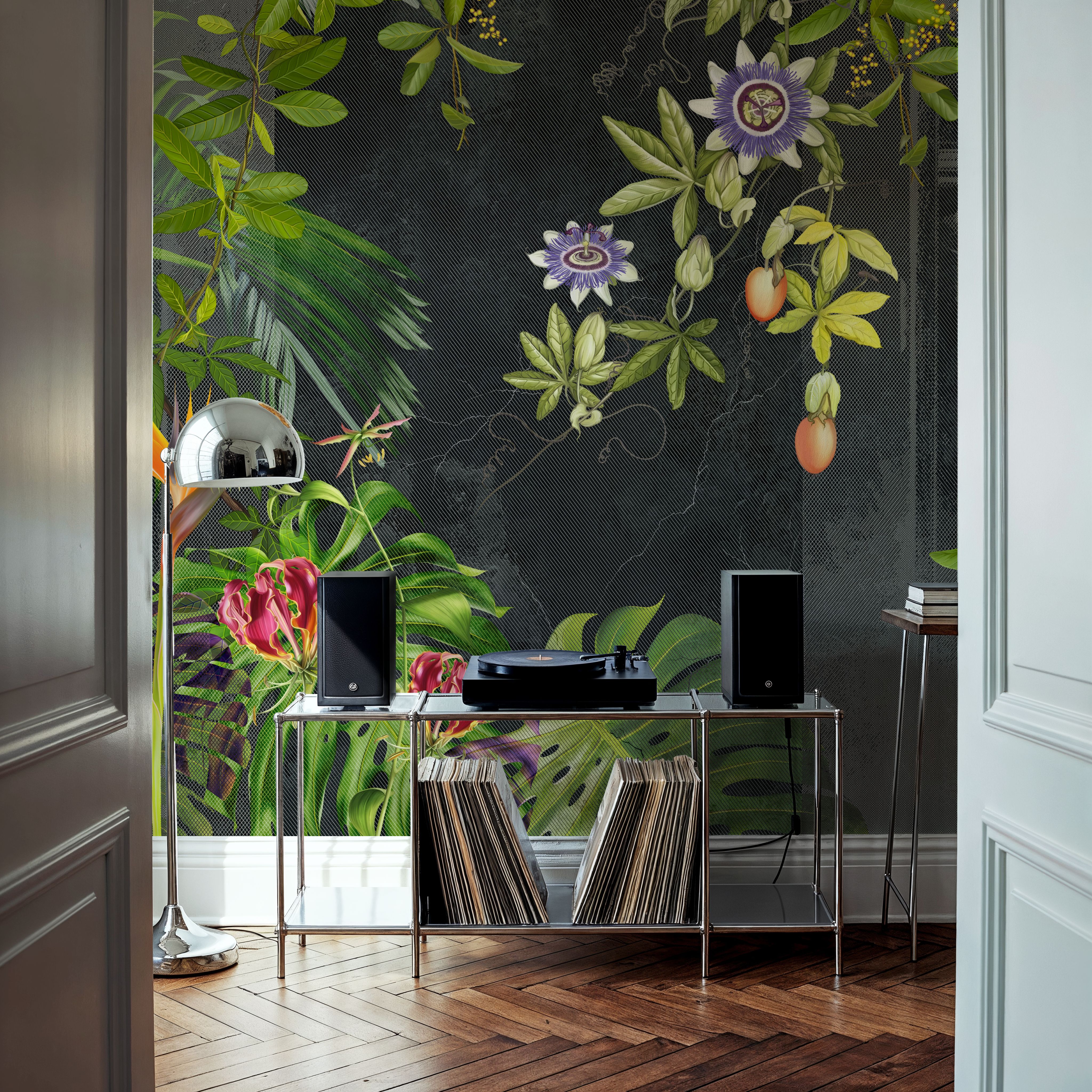  Dragons Fruit at Home