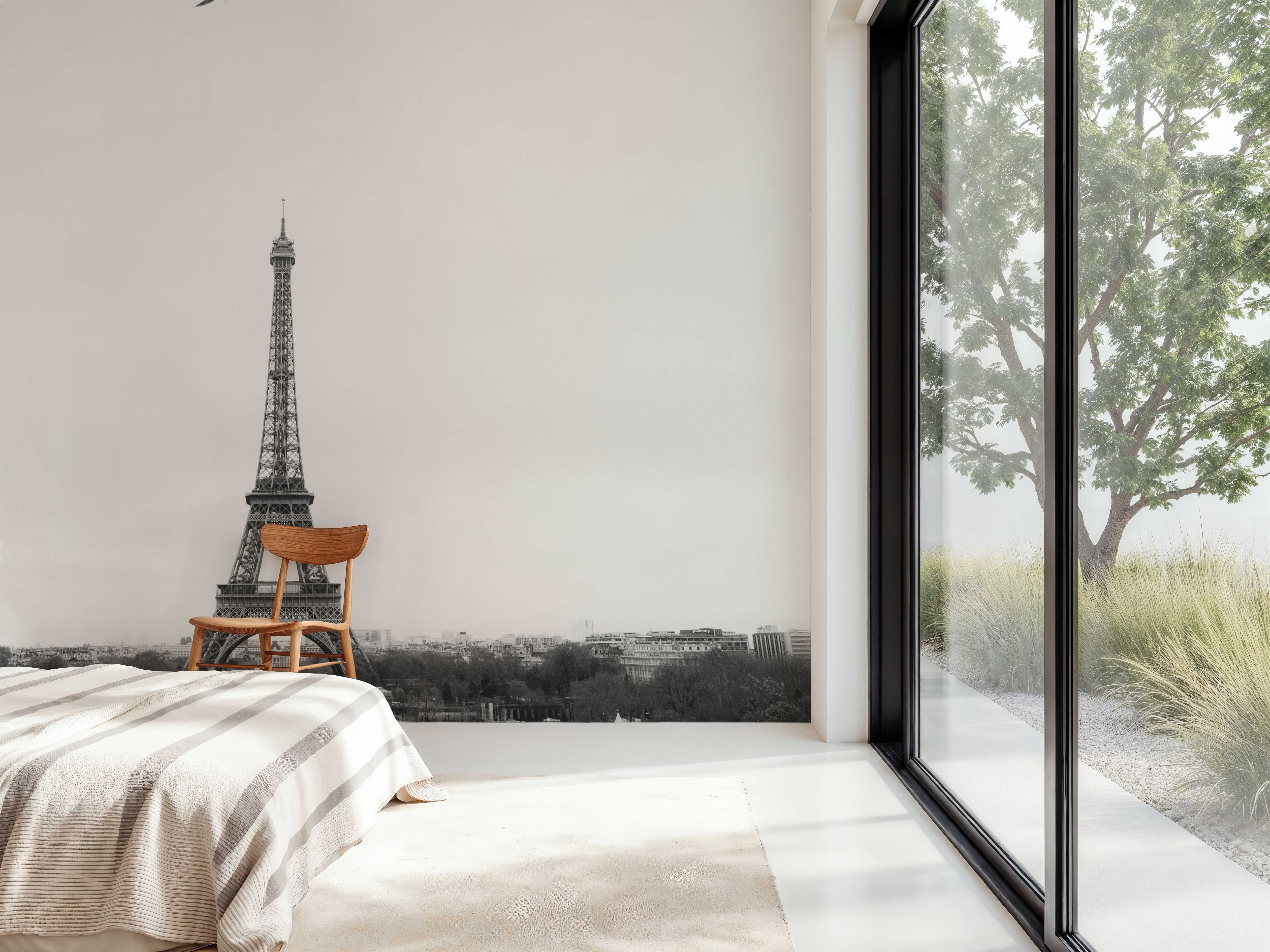 A Birds View of Paris