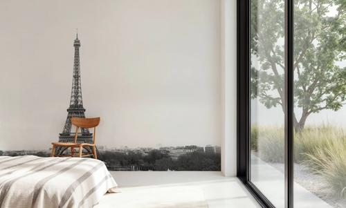 A Birds View of Paris