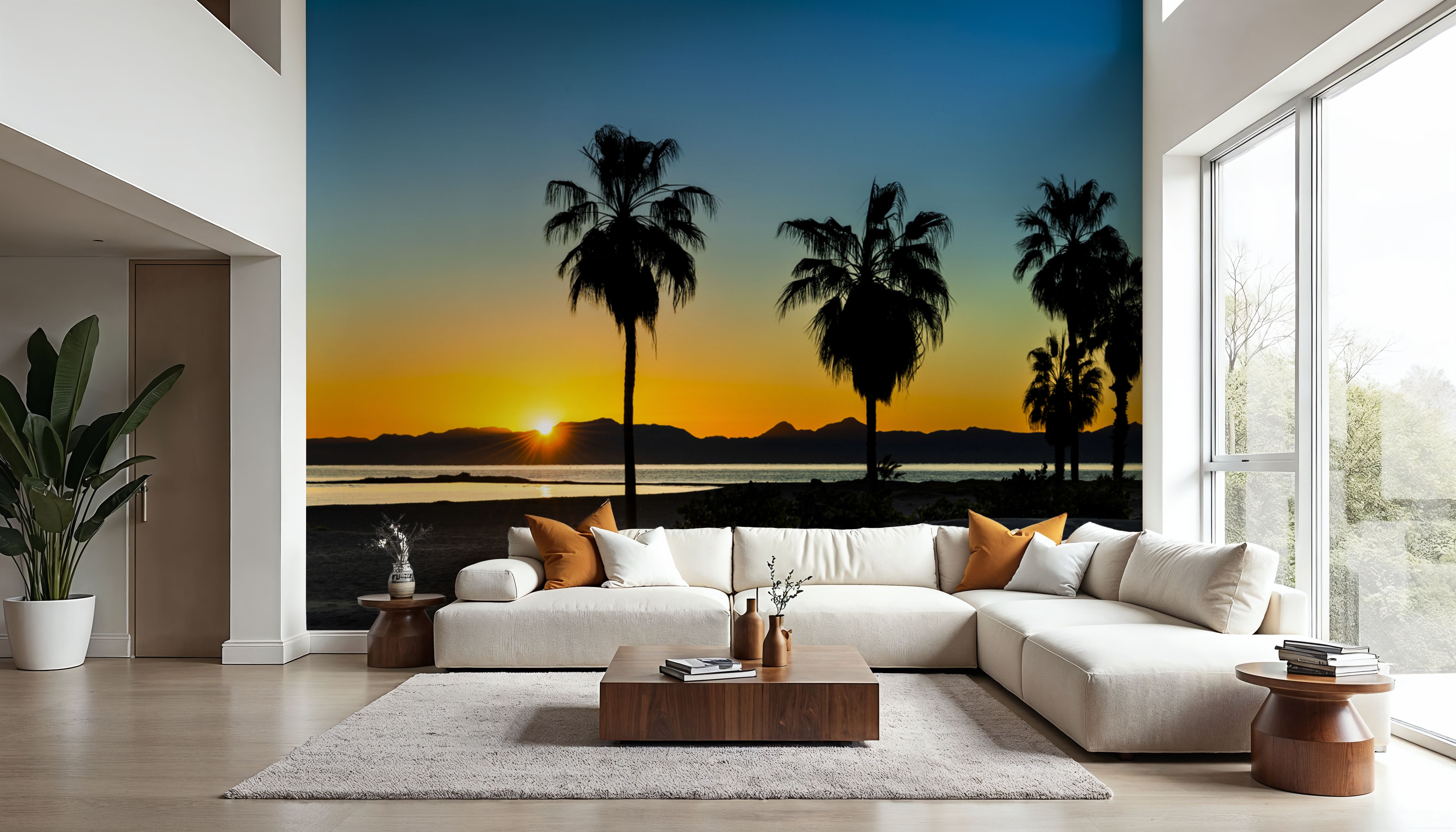 Palm Baja Dawn