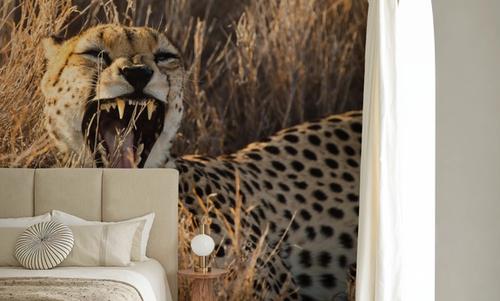 Big Yawn II