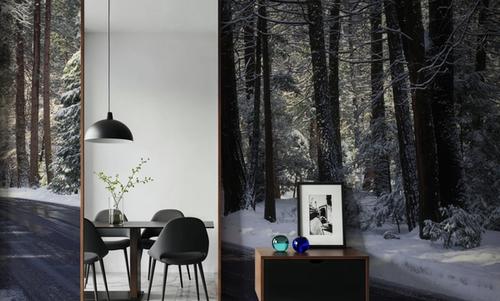 Winter's Passage Forest