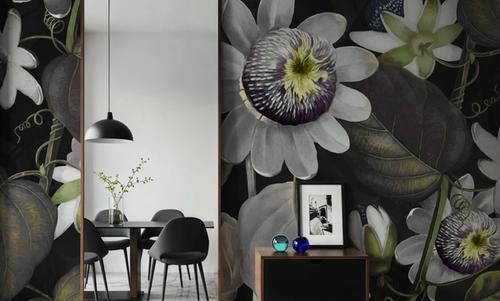 Passifloras Emerging Calm