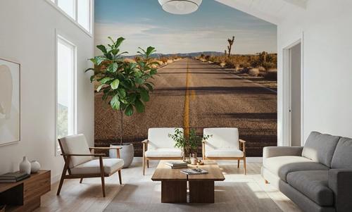 Joshua Tree Road