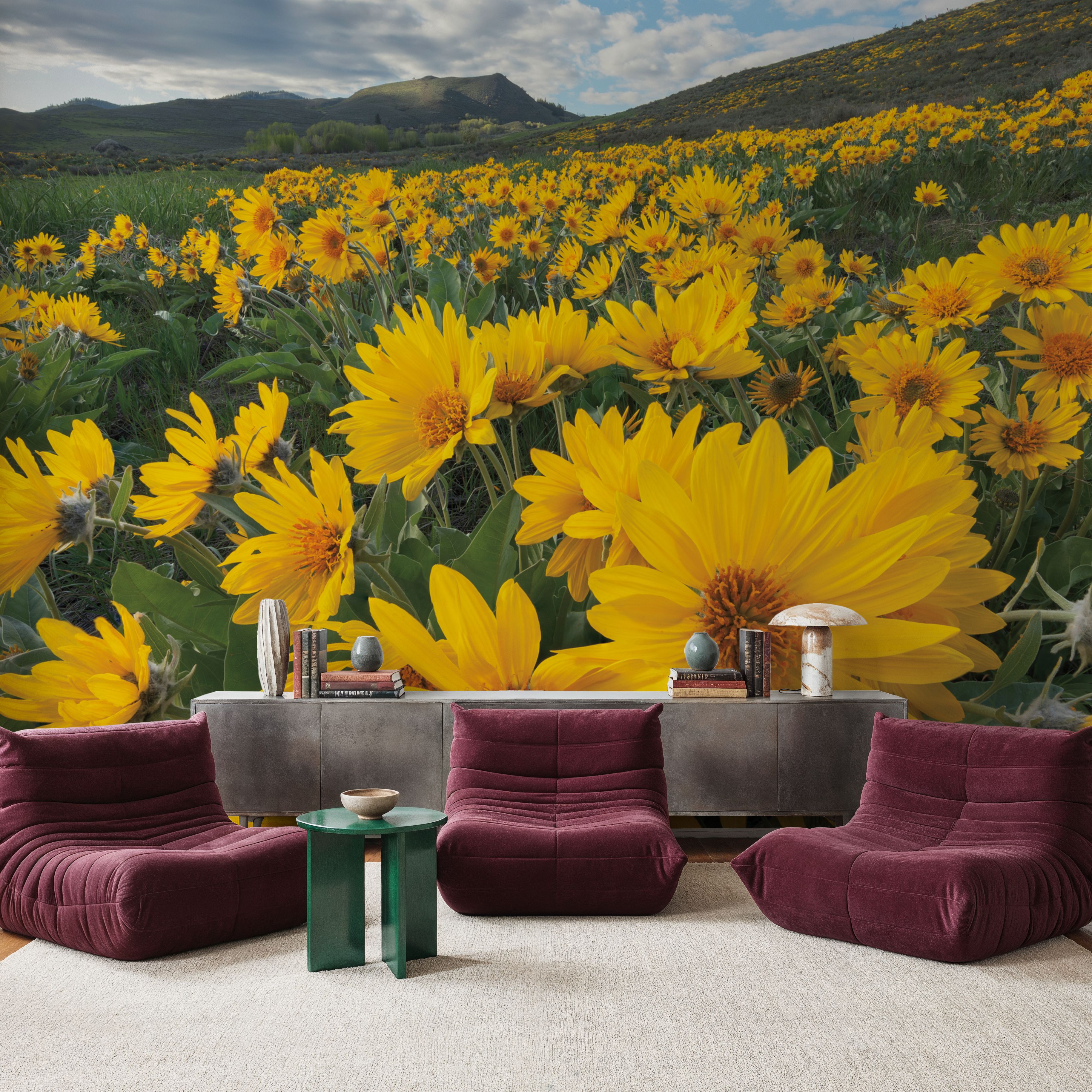 Methow Valley Wildflowers II