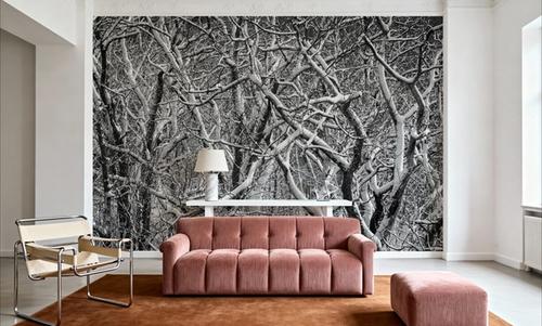Snow Branches