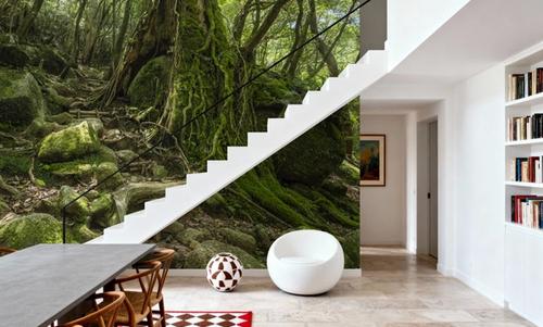 Moss Forest