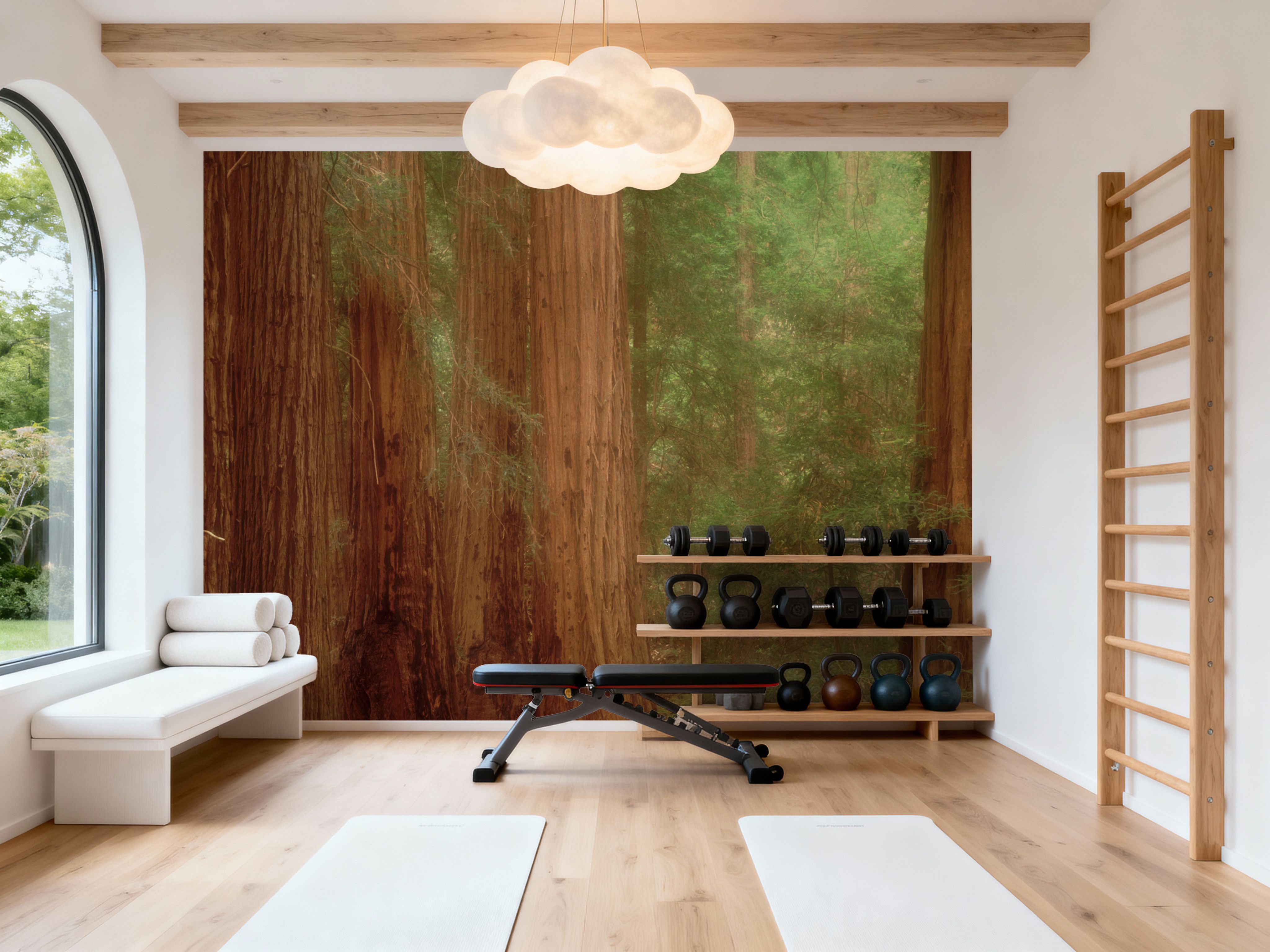 Majestic Redwoods, Wallpaper