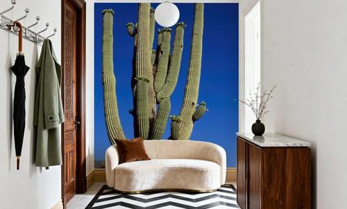 Moonlit Saguaro
