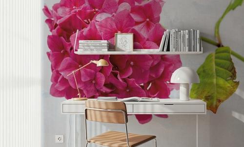 Bright Pink Hydrangea
