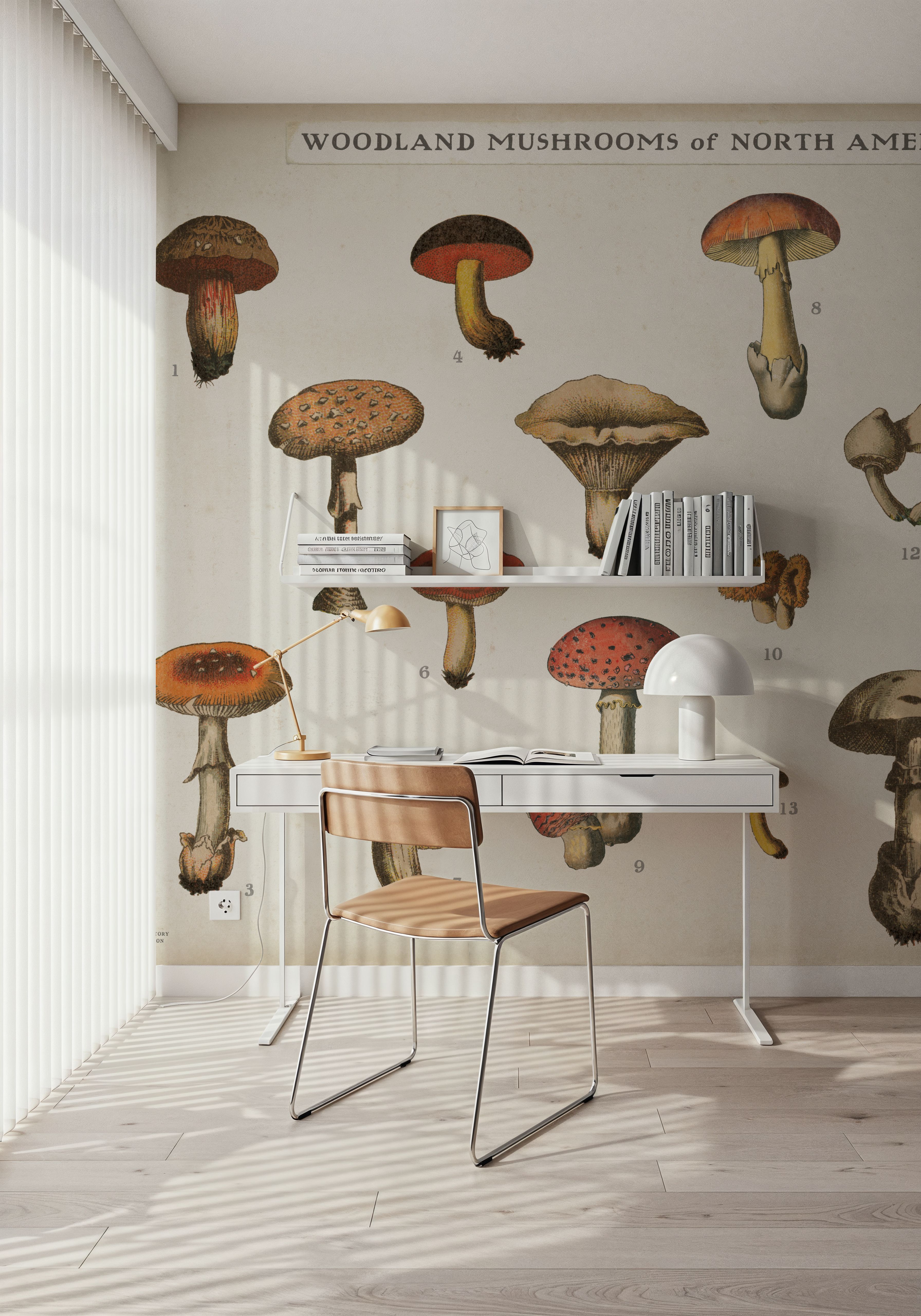 Mushroom Chart I light