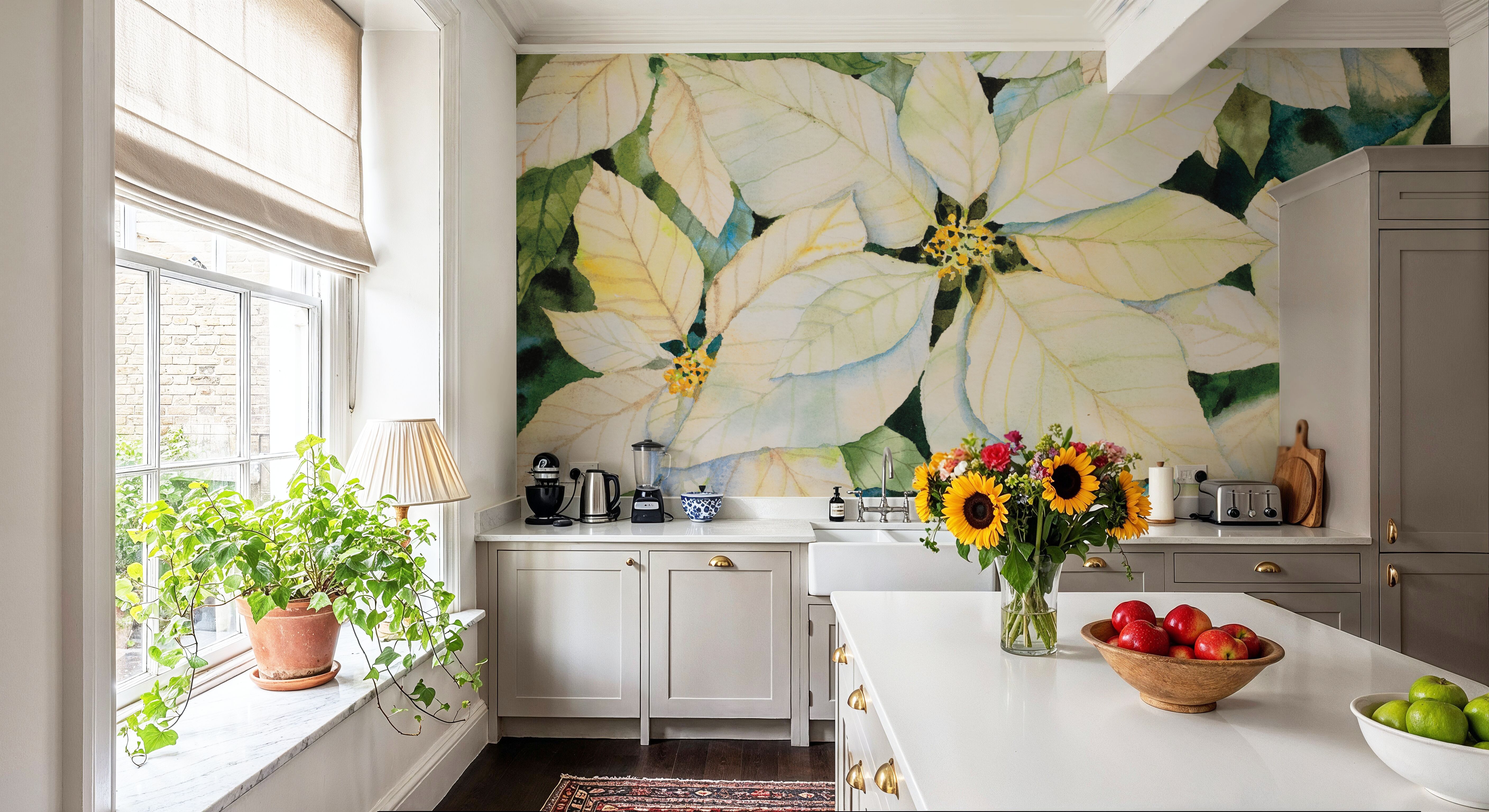 White Poinsettia, Wallpaper