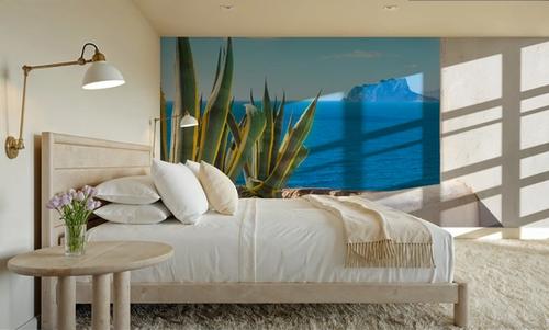 Agave Views