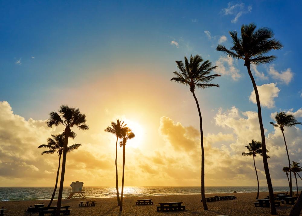 Fort Lauderdale Mornings