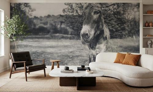 Donkey Tilt BW